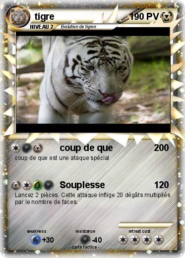 Pokemon tigre