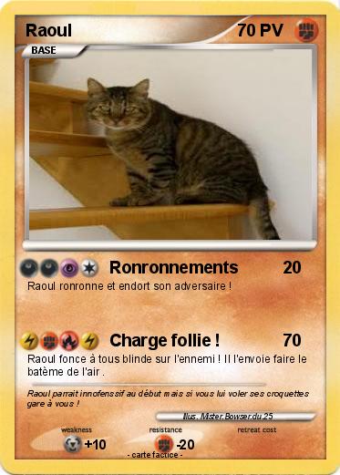 Pokemon Raoul