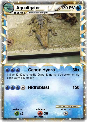 Pokemon Aqualigator