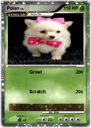 Pokemon Polan