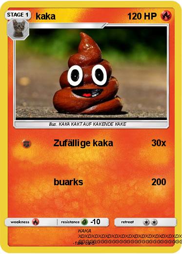 Pokemon kaka