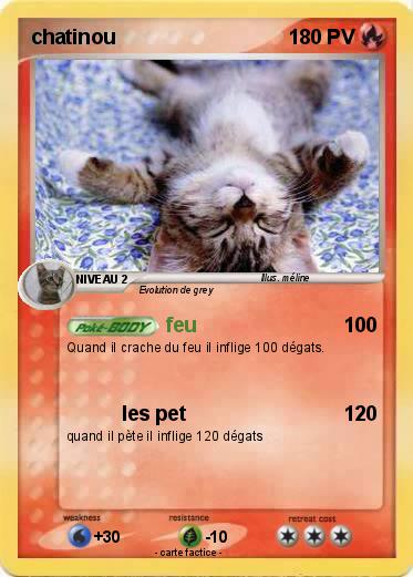 Pokemon chatinou