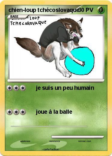 Pokemon chien-loup tchécoslovaque