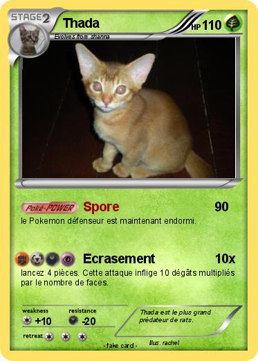 Pokemon Thada