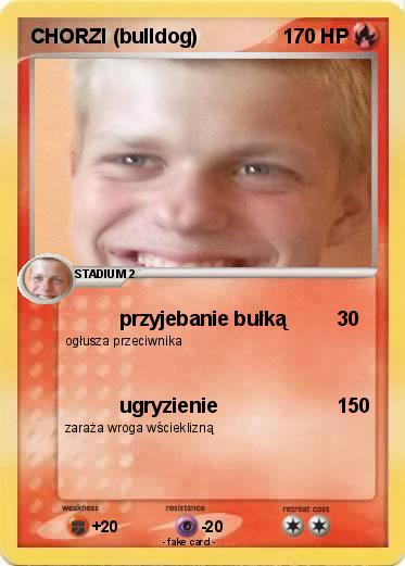 Pokemon CHORZI (bulldog)