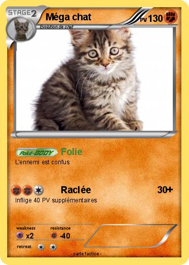 Pokemon Méga chat