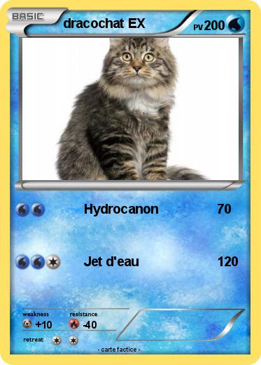 Pokemon dracochat EX