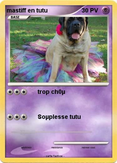 Pokemon mastiff en tutu