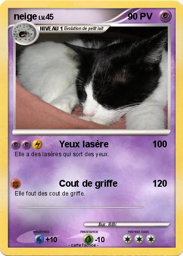 Pokemon neige