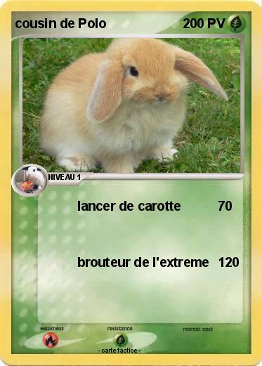 Pokemon cousin de Polo