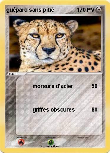 Pokemon guépard sans pitié
