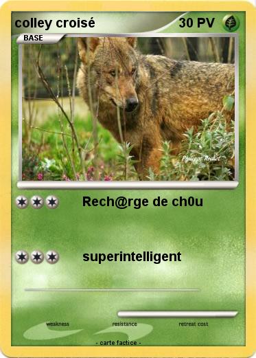 Pokemon colley croisé