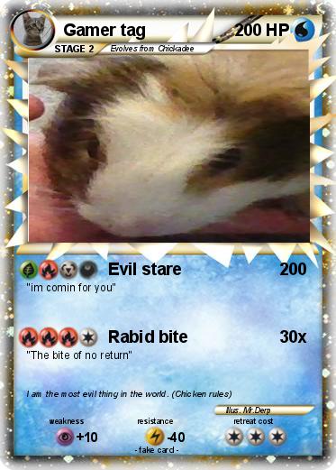 Pokemon Gamer tag