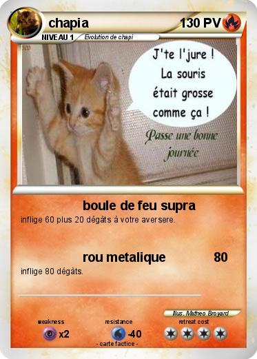 Pokemon chapia