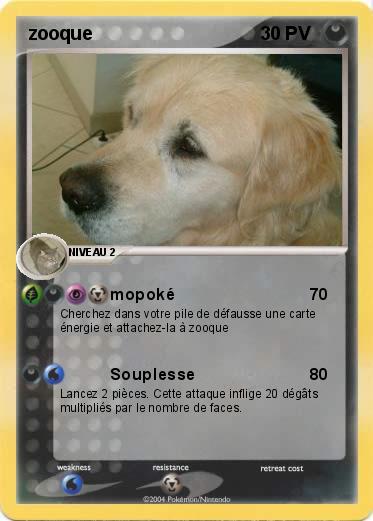 Pokemon zooque