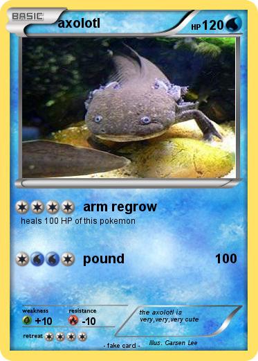 Pokemon axolotl