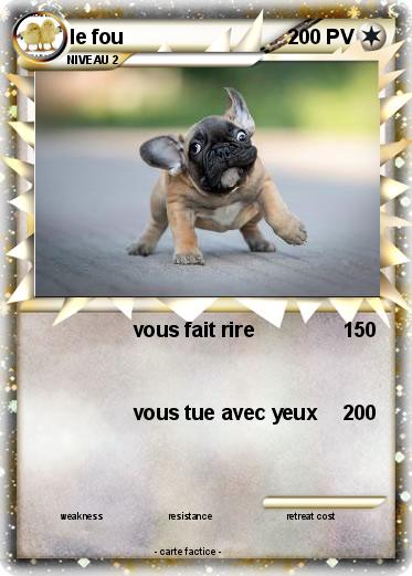 Pokemon le fou