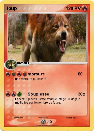Pokemon loup