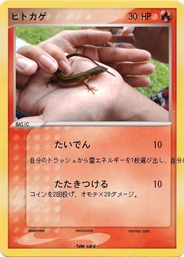 Pokemon ヒトカゲ