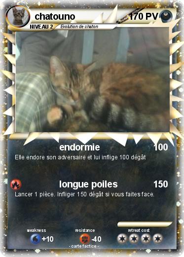 Pokemon chatouno