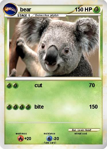 Pokemon bear