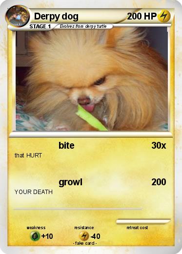 Pokemon Derpy dog