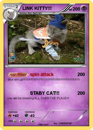 Pokemon LINK KITTY!!!