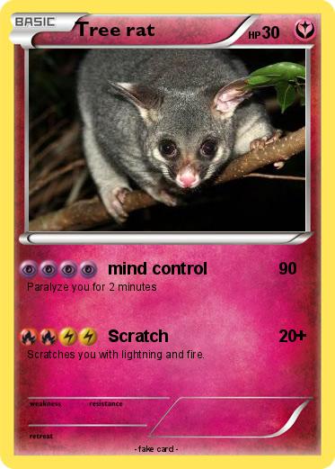 Pokemon Tree rat