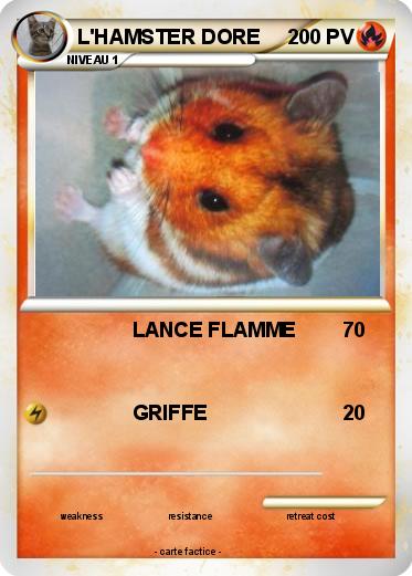 Pokemon L'HAMSTER DORE