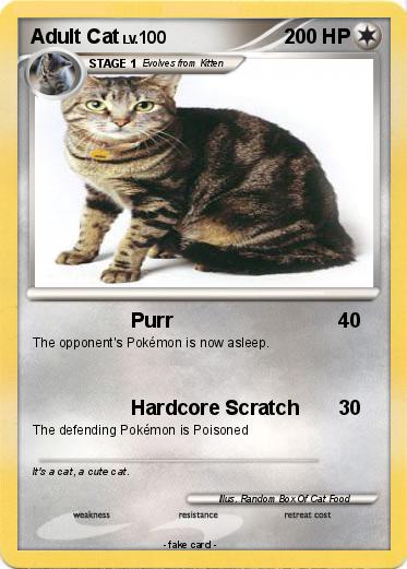 Pokemon Adult Cat