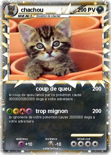 Pokemon chachou