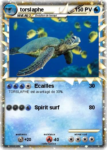 Pokemon torslaphe
