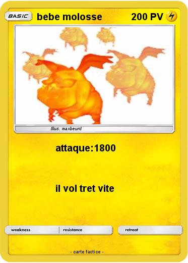 Pokemon bebe molosse