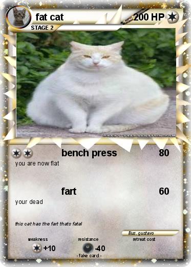 Pokemon fat cat