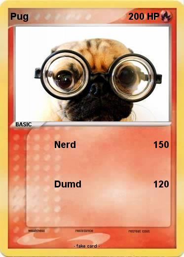 Pokemon Pug