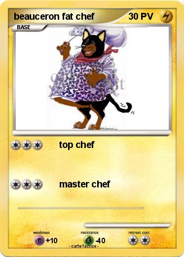 Pokemon beauceron fat chef