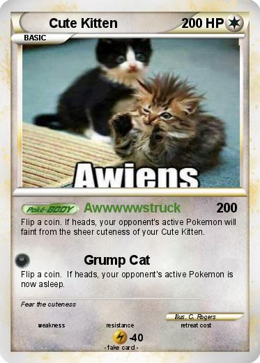 Pokemon Cute Kitten