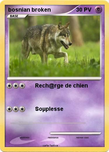 Pokemon bosnian broken