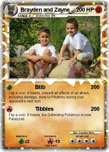 Pokemon Brayden and Zayne