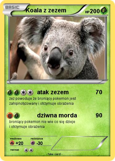 Pokemon Koala z zezem