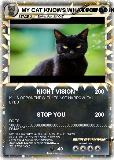 Pokemon MY CAT KNOWS WHAT YOU DO IN THE DARK