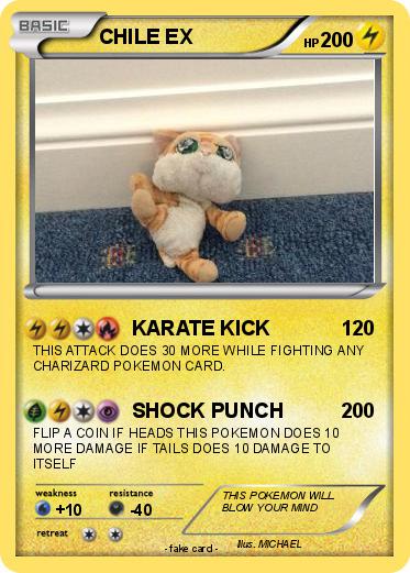 Pokemon CHILE EX