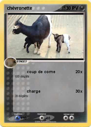 Pokemon chèvronette