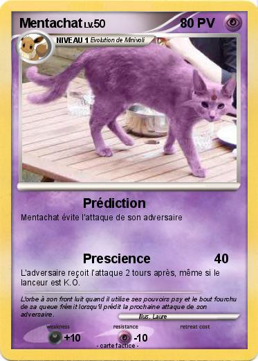 Pokemon Mentachat