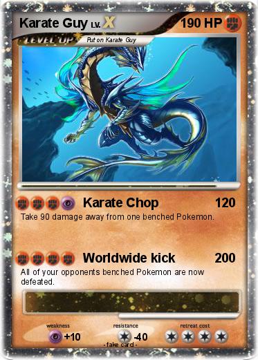 Pokemon Karate Guy