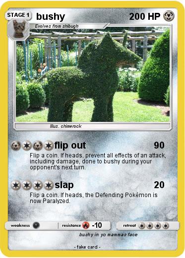 Pokemon bushy