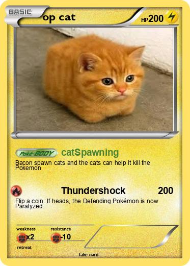 Pokemon op cat