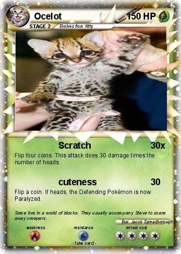 Pokemon Ocelot