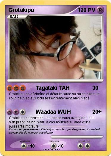 Pokemon Grotakipu