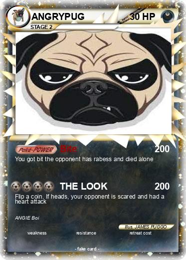 Pokemon ANGRYPUG